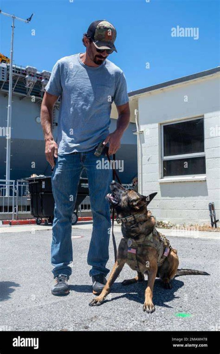 Is Justin Melnick a dog trainer?