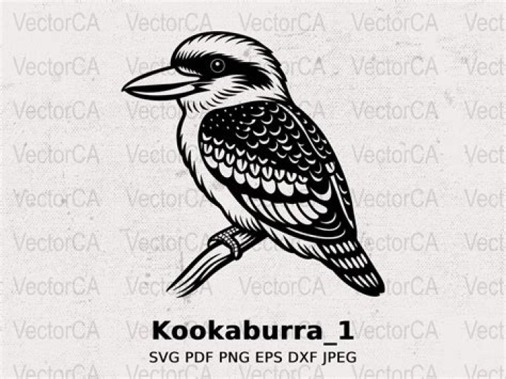 Is Kookaburra an Australian brand?