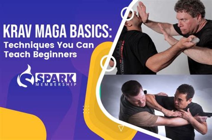 Is Krav Maga dangerous?