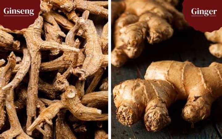 Is maca root and ginseng the same?