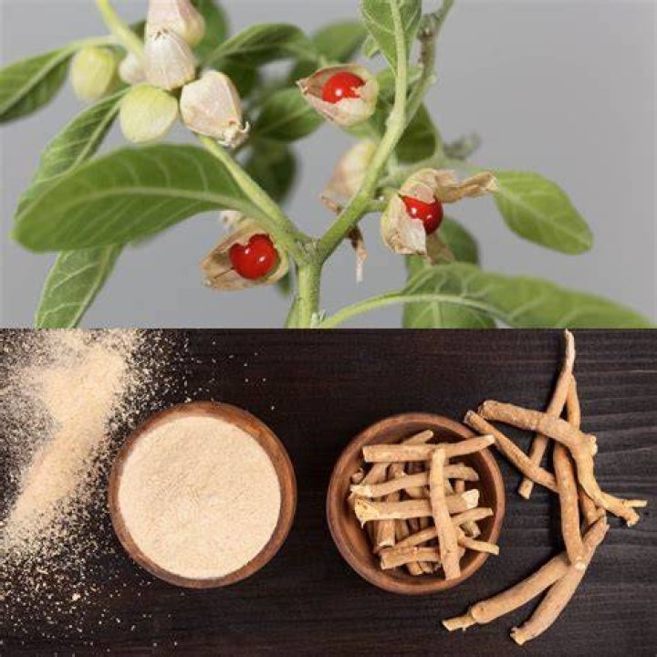 Is maca similar to ginseng?
