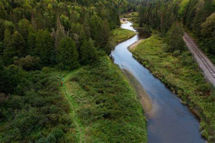 Is Mad River Glen good for beginners?