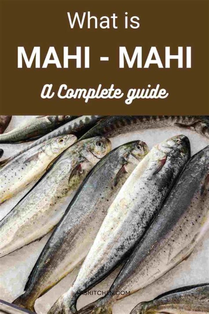 Is mahi mahi healthy or not?
