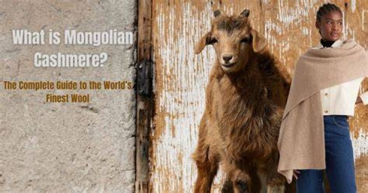 Is Mongolian cashmere itchy?