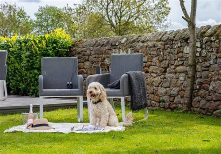 Is Morikami Gardens dog friendly?