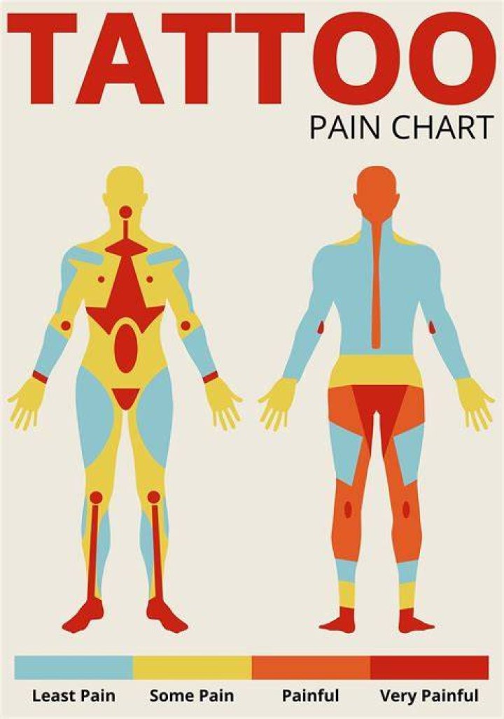 Is mulesing painful?
