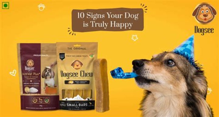 Is my dog happy?