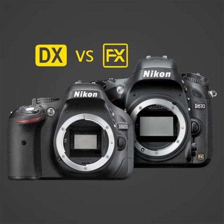 Is Nikon FX full frame?