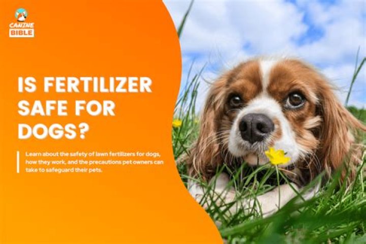 Is nitrogen fertilizer safe for pets?
