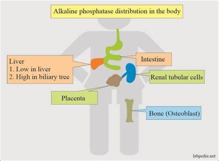 Is oatmeal considered alkaline?