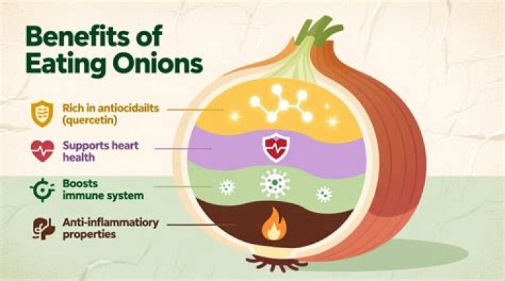 Is onion good for lungs?