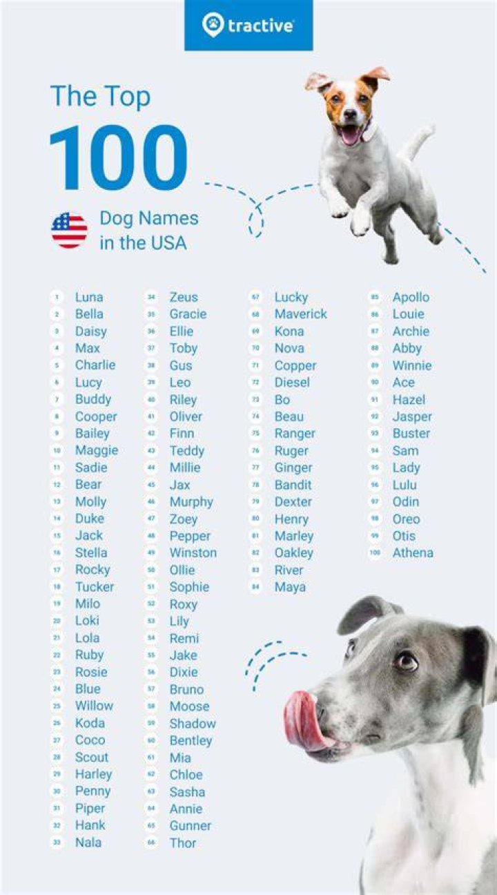 Is Oreo a good name for a dog?