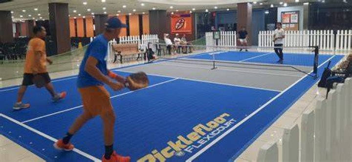 Is pickle ball like badminton?