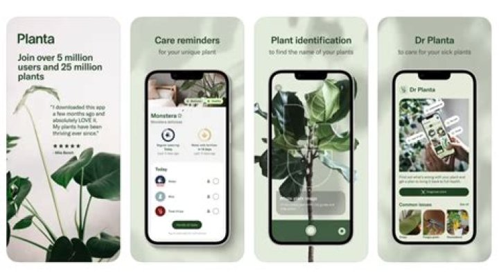 Is Planta free?