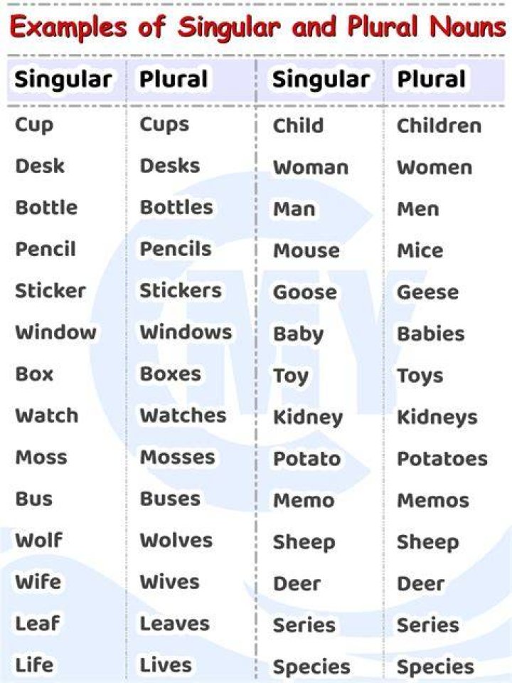 Is puppy's singular or plural?
