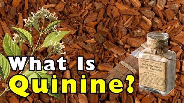 Is quinine a herb?