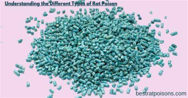 Is rat poison in cigarettes?