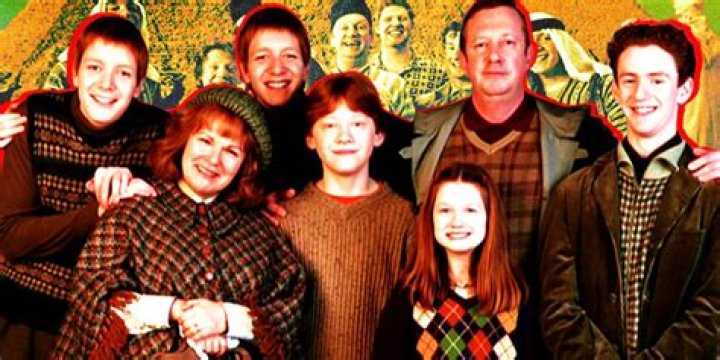 Is Ron Weasley a Muggle?