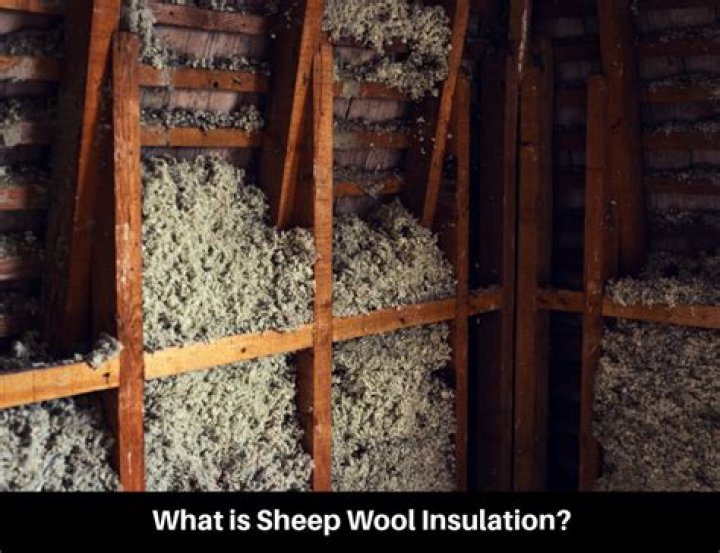 Is sheep wool insulation expensive?