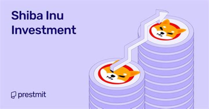 Is Shiba Inu coin a good investment 2021?