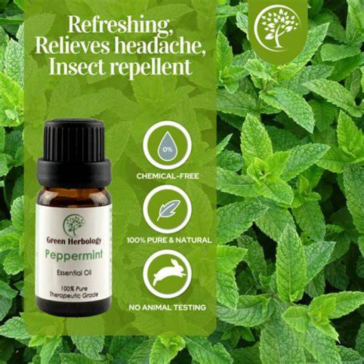 Is smelling peppermint oil safe?
