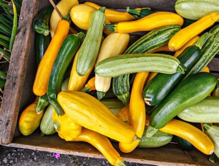Is squash a carb or vegetable?