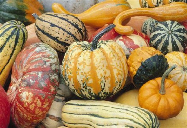 Is squash a laxative?