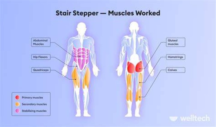 Is stair climbing good for hip flexors?