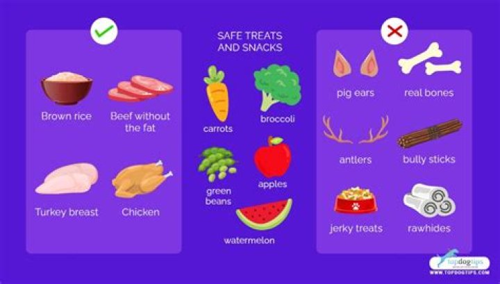 Is Sweet Potato good for dogs with kidney disease?