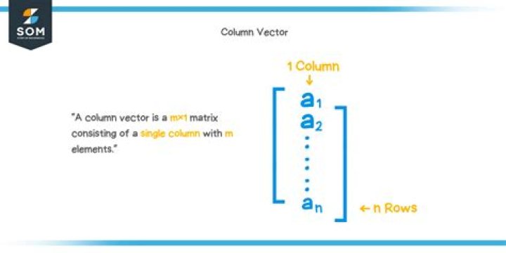 Is the gradient a row or column vector?