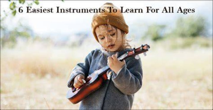 Is the triangle the easiest instrument to learn?