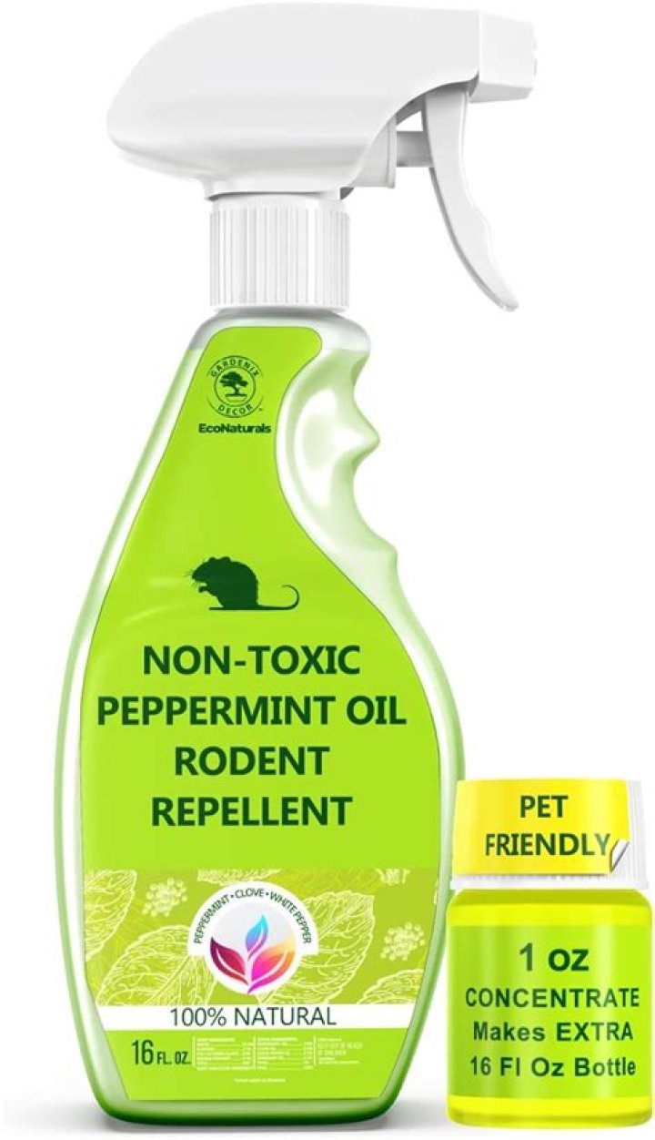 Is there a spray to keep rats away?