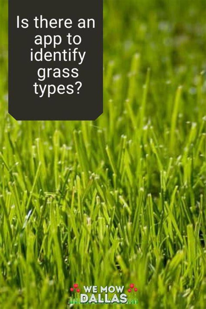 Is there an app to identify grass types?