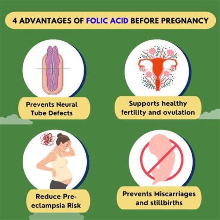 Is too much folic acid harmful during pregnancy?