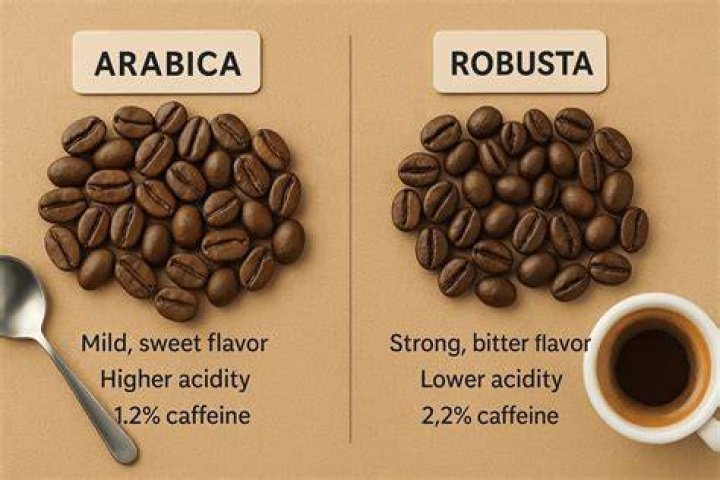 Is Turkish coffee arabica or robusta?