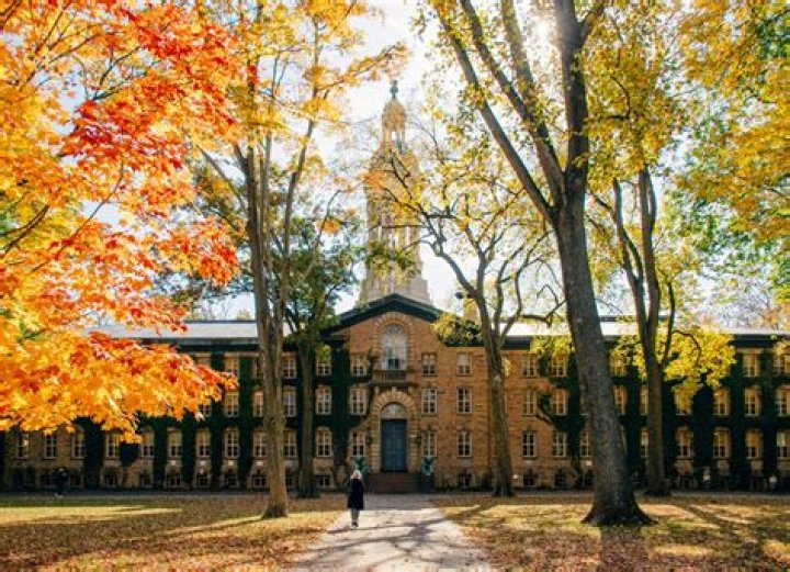 Is UMD a public ivy?