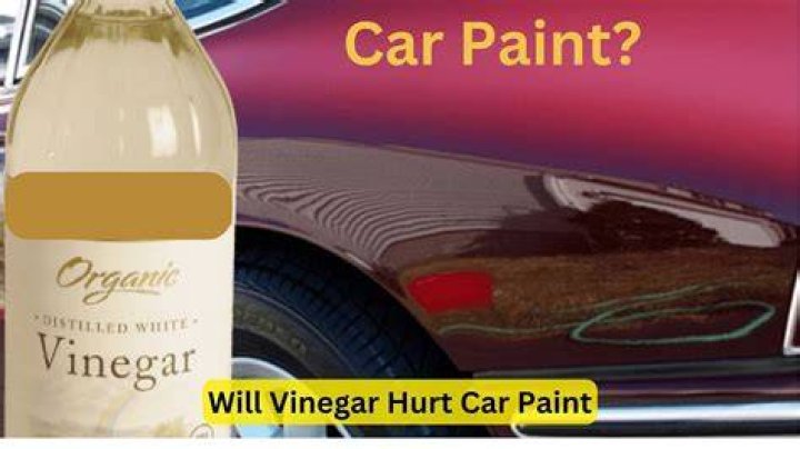 Is vinegar harmful to car paint?