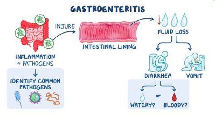 Is water good for gastroenteritis?