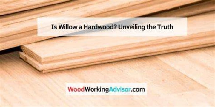 Is willow a hardwood?