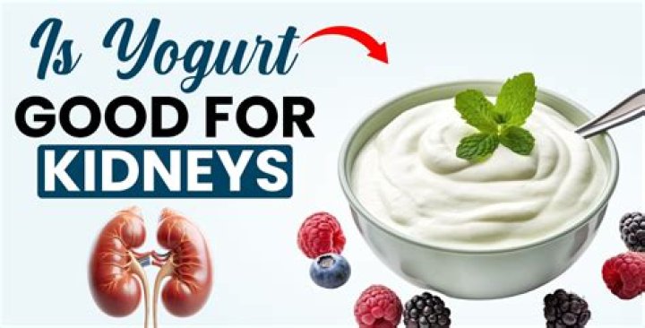 Is yogurt good for kidneys?
