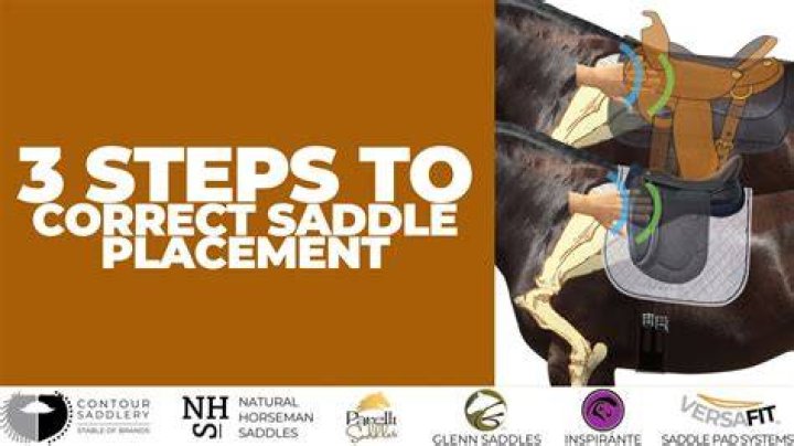 Should a saddle lift at the back?