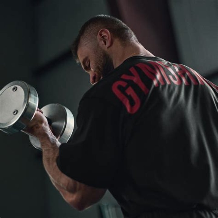 Should Ectomorphs workout everyday?