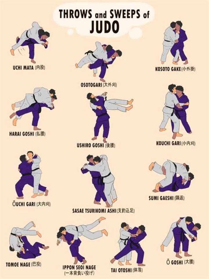Should I learn wrestling or Jiu-Jitsu?