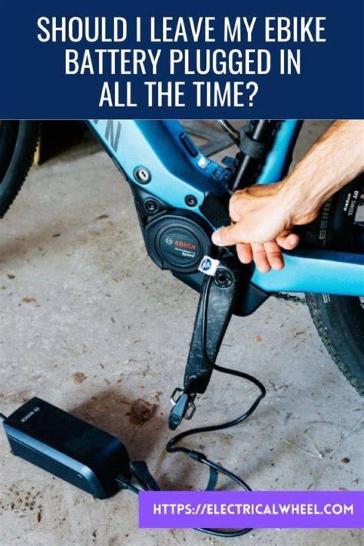 Should I leave my ebike battery plugged in all the time?