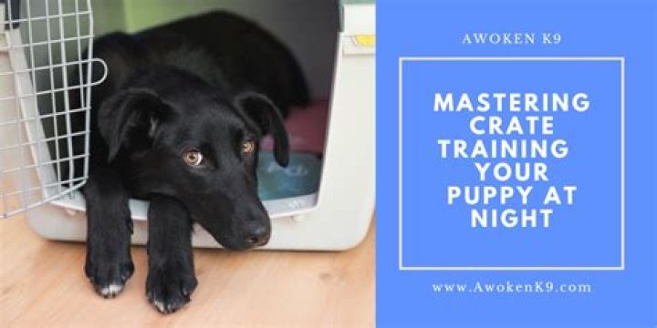 Should I put my 8 week old puppy in a crate at night?
