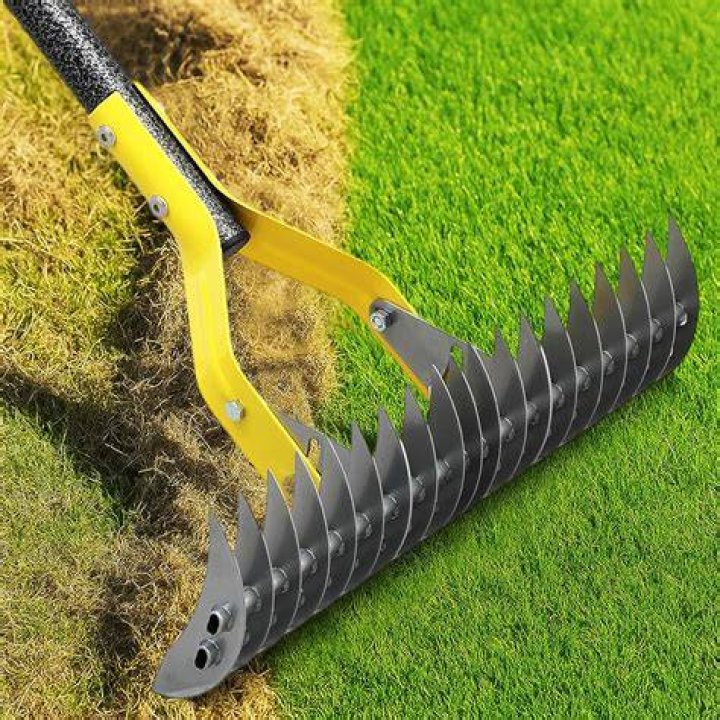 Should I rake brown grass?