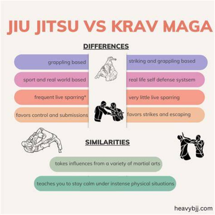 Should I take Krav Maga or BJJ?