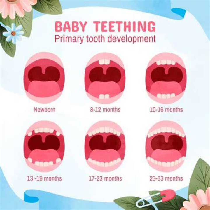 Should my 10 month old have teeth?
