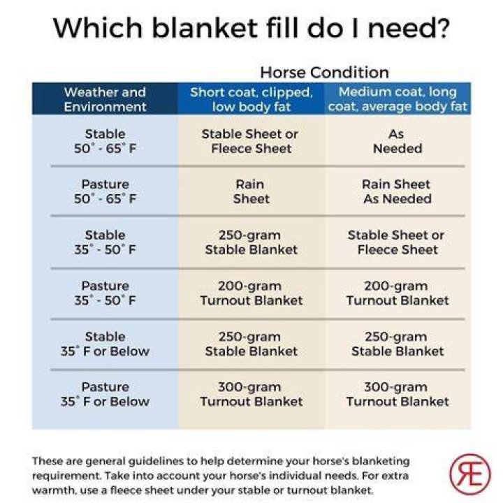 Should you blanket a shivering horse?