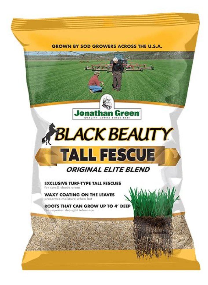 Should you rake in grass seed?